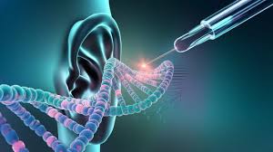 Y a t-il un nouveau traitement contre la surdité ? Y a t-il un nouveau traitement contre la surdité ?